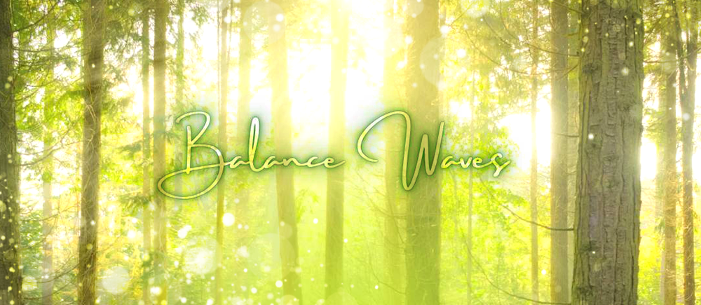 BalanceWaves セルフメンテナンス